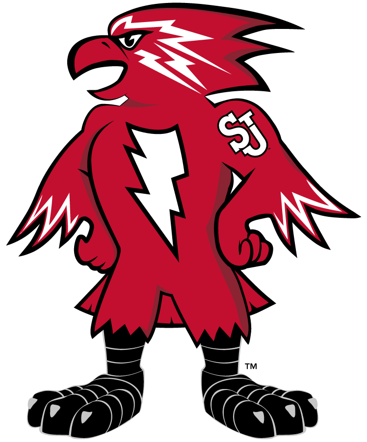 St. John's Red Storm 2013-2015 Mascot Logo v3 DIY iron on transfer (heat transfer)